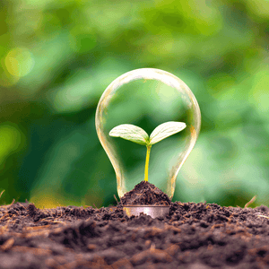 Image of a light build with a small plant growing inside displaying sustainability