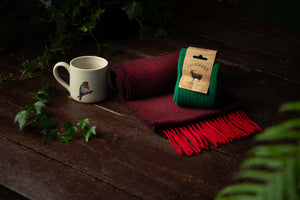 Robin mug with scarf and socks