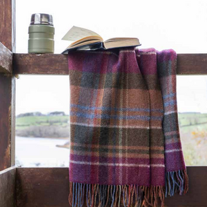 Image of a picnic blanket hanging on a fence with a book and flask