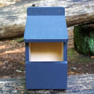 Blue robin bird box front view